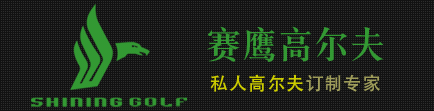 赛鹰-Logo