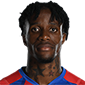 扎哈个人资料简介 - 扎哈身高 - Wilfried Zaha